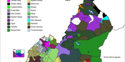 Carte du Cameroun en langue