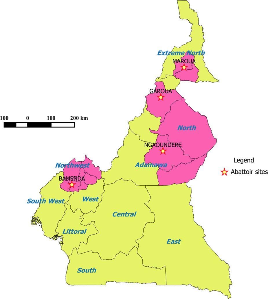 Cameroun montrant la carte des régions