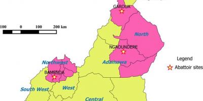 Cameroun montrant la carte des régions